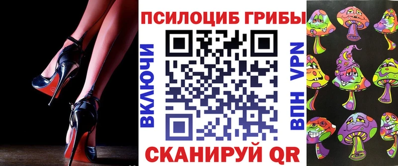 Псилоцибиновые грибы GOLDEN TEACHER  сколько стоит  blacksprut ССЫЛКА  Удачный 